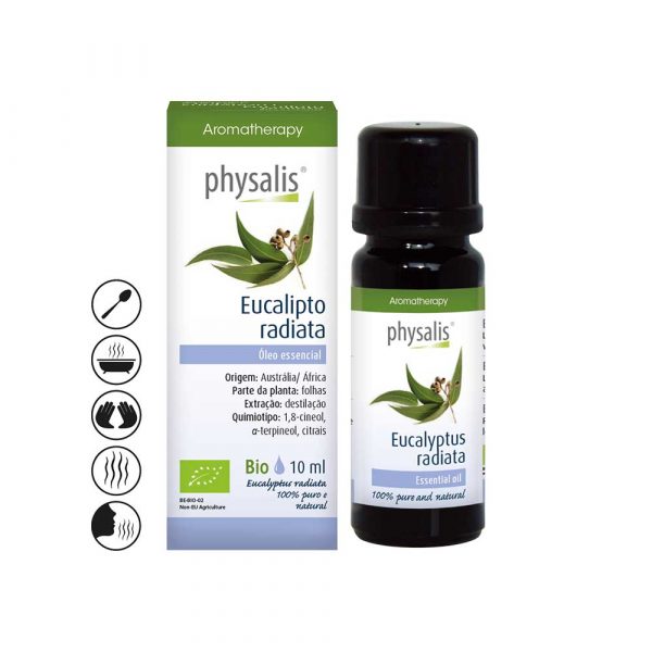 Óleo Essencial de Eucalipto Radiata Bio - 10ml - Physalis