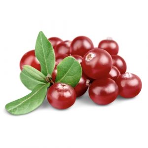 Cranberry